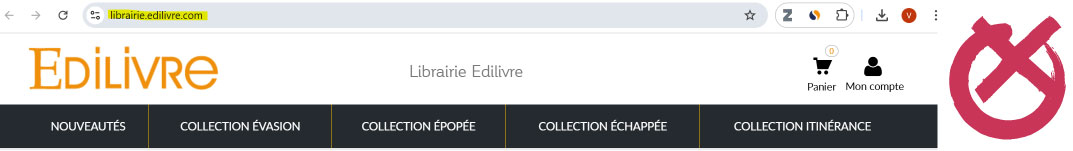 Capture d'écran librairie Edilivre